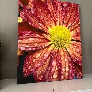 Vibrant Flower Canvas Art